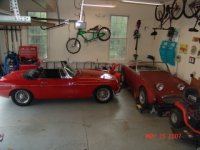 5446-BandBugsmall.jpg