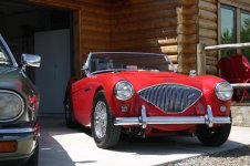 5490-Judy1.jpg