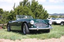 5497-Judy8.jpg