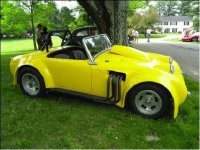 5589-hotrodbug.jpg
