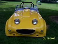 5593-hotrodbug3.jpg