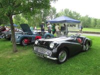 IMG_4804 (Medium).jpg IMG_4804 (Medium).jpg