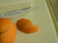 butter_orange.jpg
