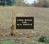 CornMaze.jpg