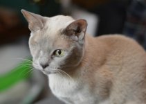 DSC_3350s.jpg DSC_3350s.jpg
