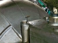 TR6Trannyvent.jpg TR6Trannyvent.jpg