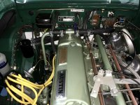 fullsizeoutput_2c8.jpg fullsizeoutput_2c8.jpg