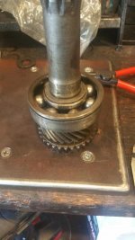 thumbnail (5) (Medium).jpg thumbnail (5) (Medium).jpg