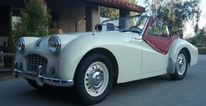 57 TR3 new shoes.jpg