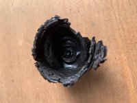2. Old Diaphragm.jpg