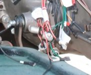 bulbs_2093.jpg bulbs_2093.jpg
