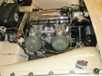 My engine bay2019-L.jpg My engine bay2019-L.jpg