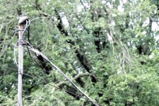 Storm16 8-4-20 (2).jpg