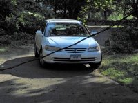 Storm next day wire blocking driveway.jpg