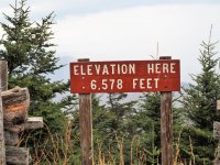 Mt. Mitchell-top.jpg Mt. Mitchell-top.jpg