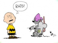 rats.png