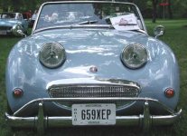 6339-IrisBugeyeFront2.jpg