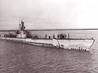 8405.jpg
