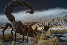 scorpvscricksm.jpg