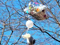 Balloon.jpg