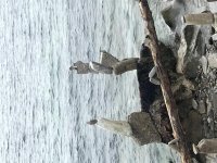 rocks 3.jpg