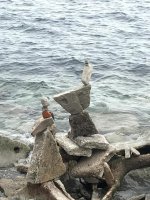 rocks 2.jpg
