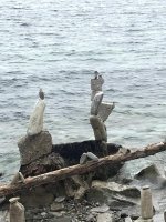 rocks 3.jpg