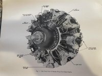 Webp.net-resizeimage (5).jpg