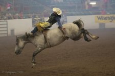 Rodeo NM Fair-2351 copy.jpg
