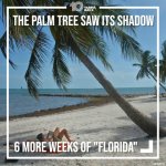 Groundhog day Florida.jpg