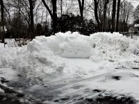 Blizzard2 2-1-21.jpg