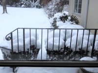 Blizzard1 2-1-21.jpg