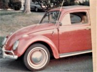 Beetle 1964.jpg