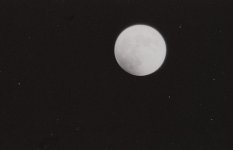 img073_2.jpg