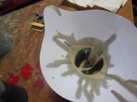 DSCN4320.JPG