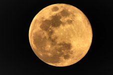 Moonshot (2).jpg