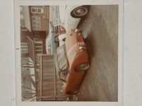 Bugeye 1.jpg