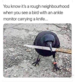 1646528548743.png