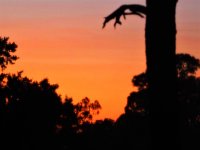 Sunset in Venice.jpg