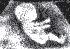 8954.gif