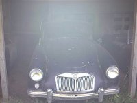 10446.jpg