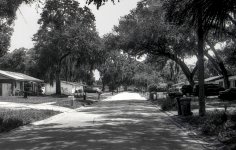Street8mono_01.jpg