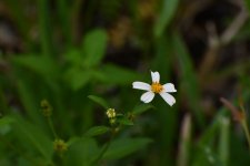 DSC_0303sm.JPG DSC_0303sm.JPG