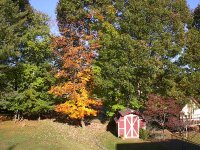 Fall Parkway Drive 102022 013.JPG