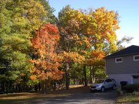 Fall Parkway Drive 102022 014.JPG