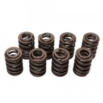 valve springs.jpg