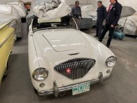 1953 Austin Healey 100, Navari, 2022 (5).JPG