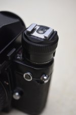 SS2_5694sc.JPG