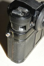 SS2_5698sc.JPG