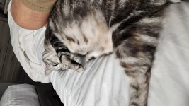 20230314_082418.jpg